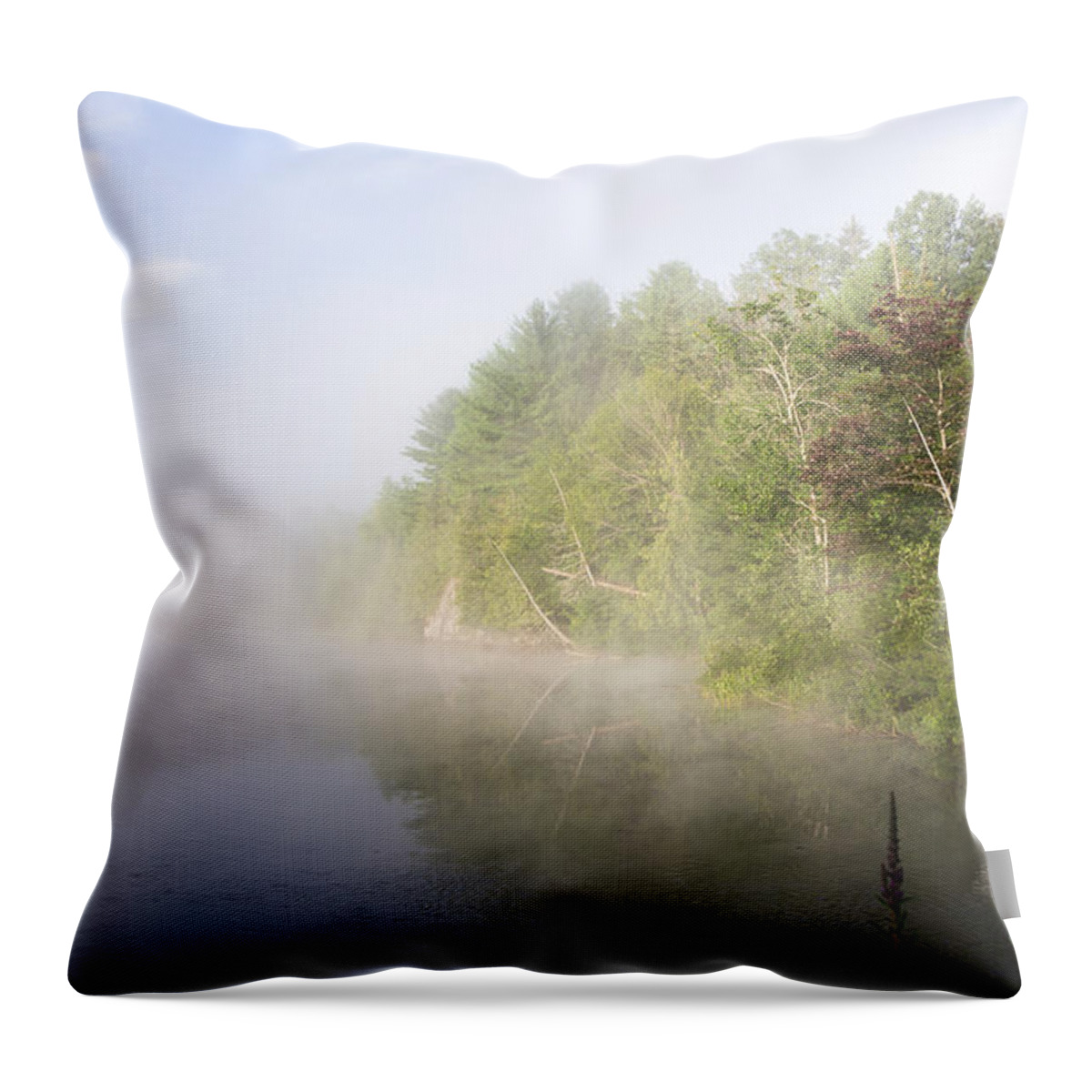 Fog Throw Pillow featuring the photograph Awaking by Jola Martysz