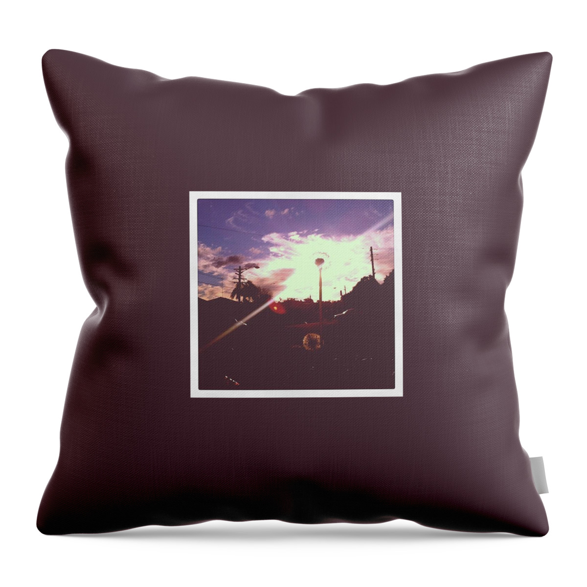 Sunrise Throw Pillow featuring the photograph Awesome dandelion sunlight by Paul Telling