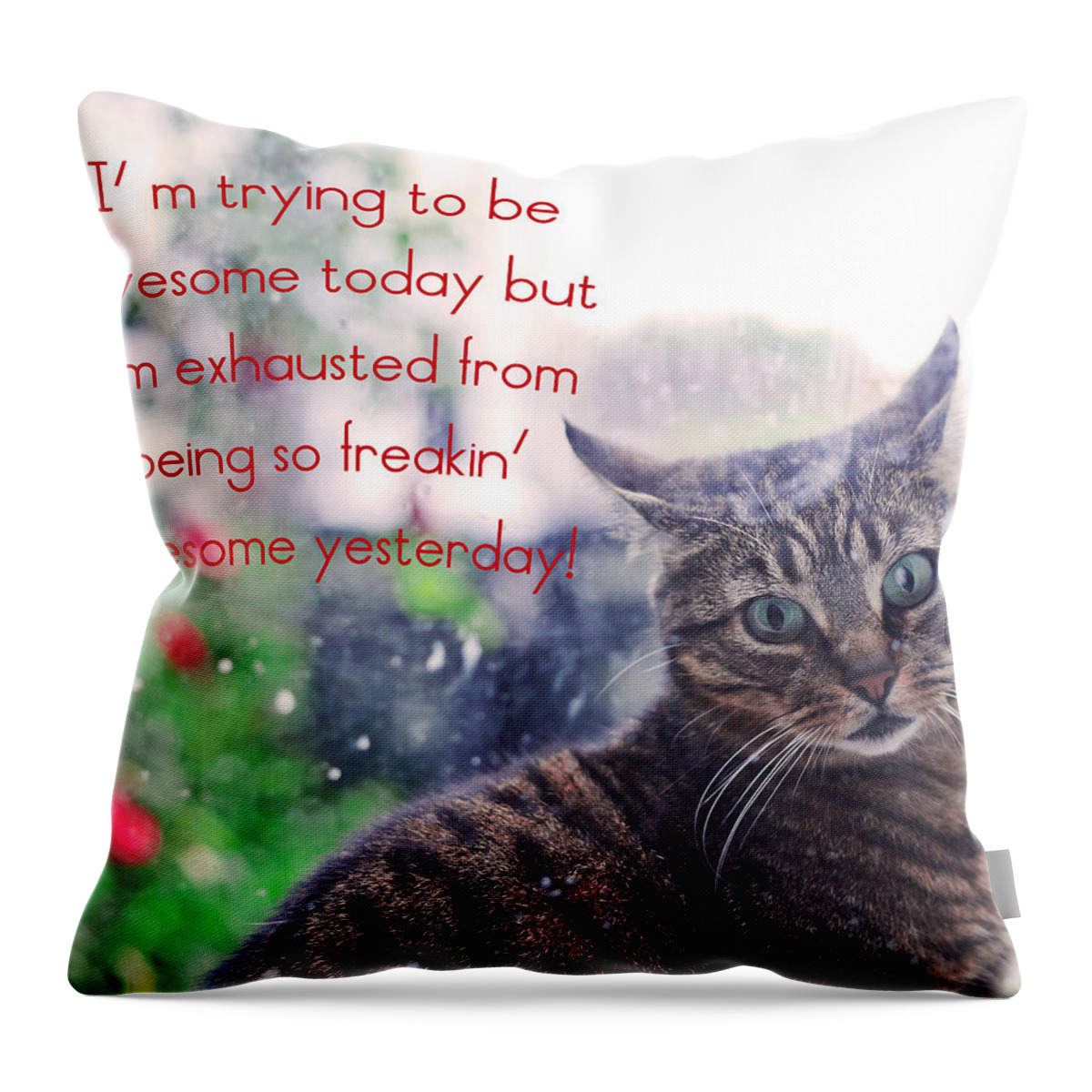 Awesomeness Throw Pillow featuring the photograph Awesomeness by Alex Art