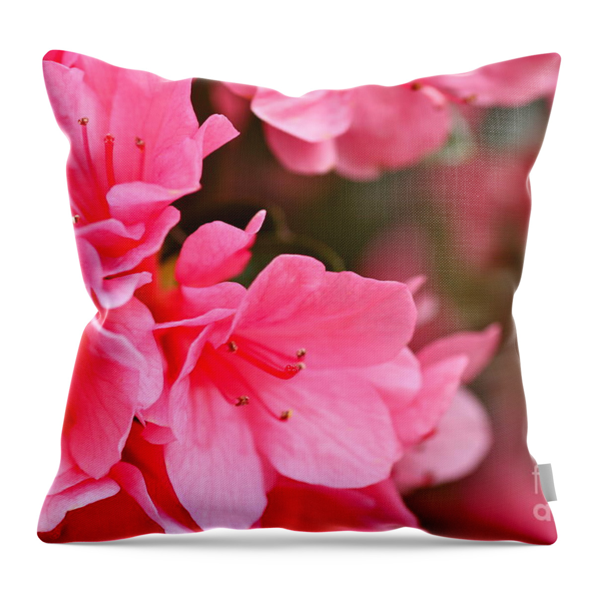 Cathy Dee Janes Throw Pillow featuring the photograph Azalea Veil Study 1 by Cathy Dee Janes