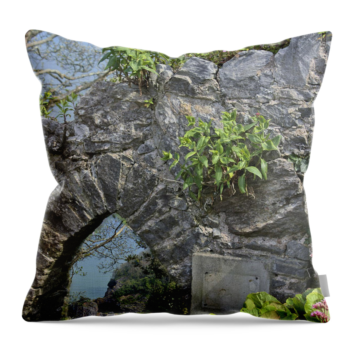 Scenic Throw Pillow featuring the photograph Babbacombe Devon by Terri Waters