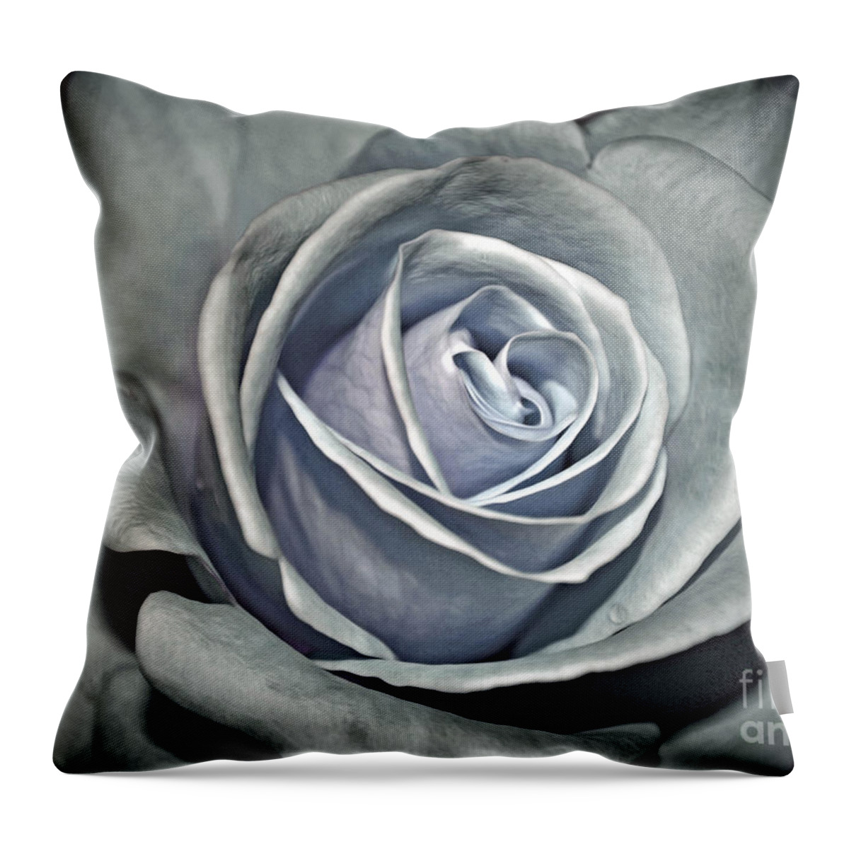 Rose Throw Pillow featuring the photograph Baby Blue Rose by Savannah Gibbs