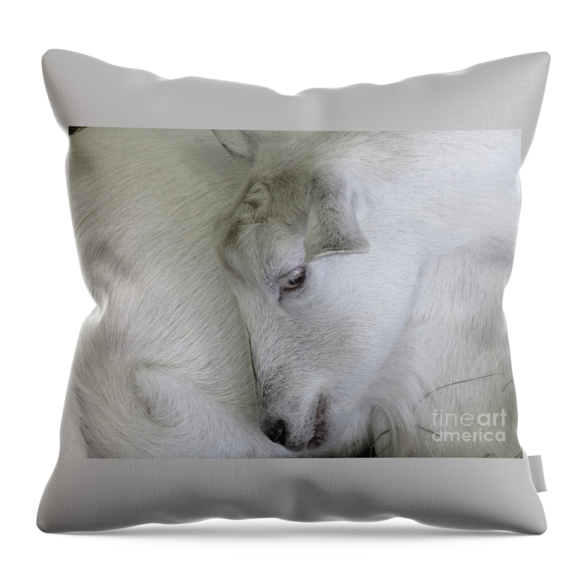 Goat Throw Pillow featuring the photograph Baby Goats by Ann Horn
