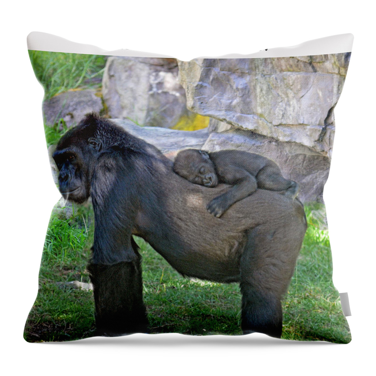 Jim Fitzpatrick Throw Pillow featuring the photograph Baby Gorilla sleeping on Mommys Back Mother's Day Version by Jim Fitzpatrick