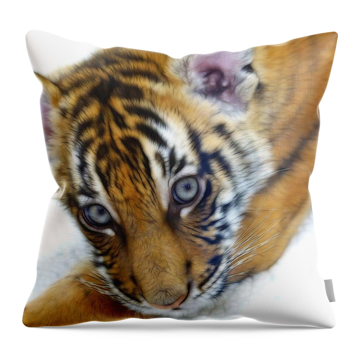 Baby Tiger Throw Pillow featuring the photograph Baby Tiger by Steve McKinzie