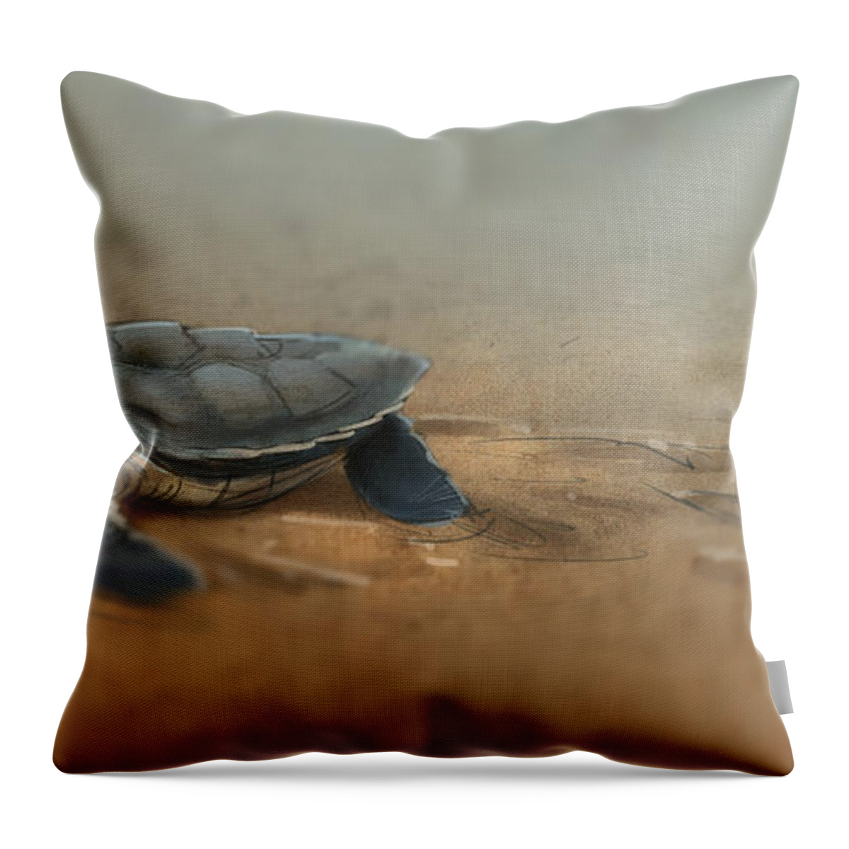 Sea Turtle Throw Pillow featuring the digital art Baby Turtle by Aaron Blaise