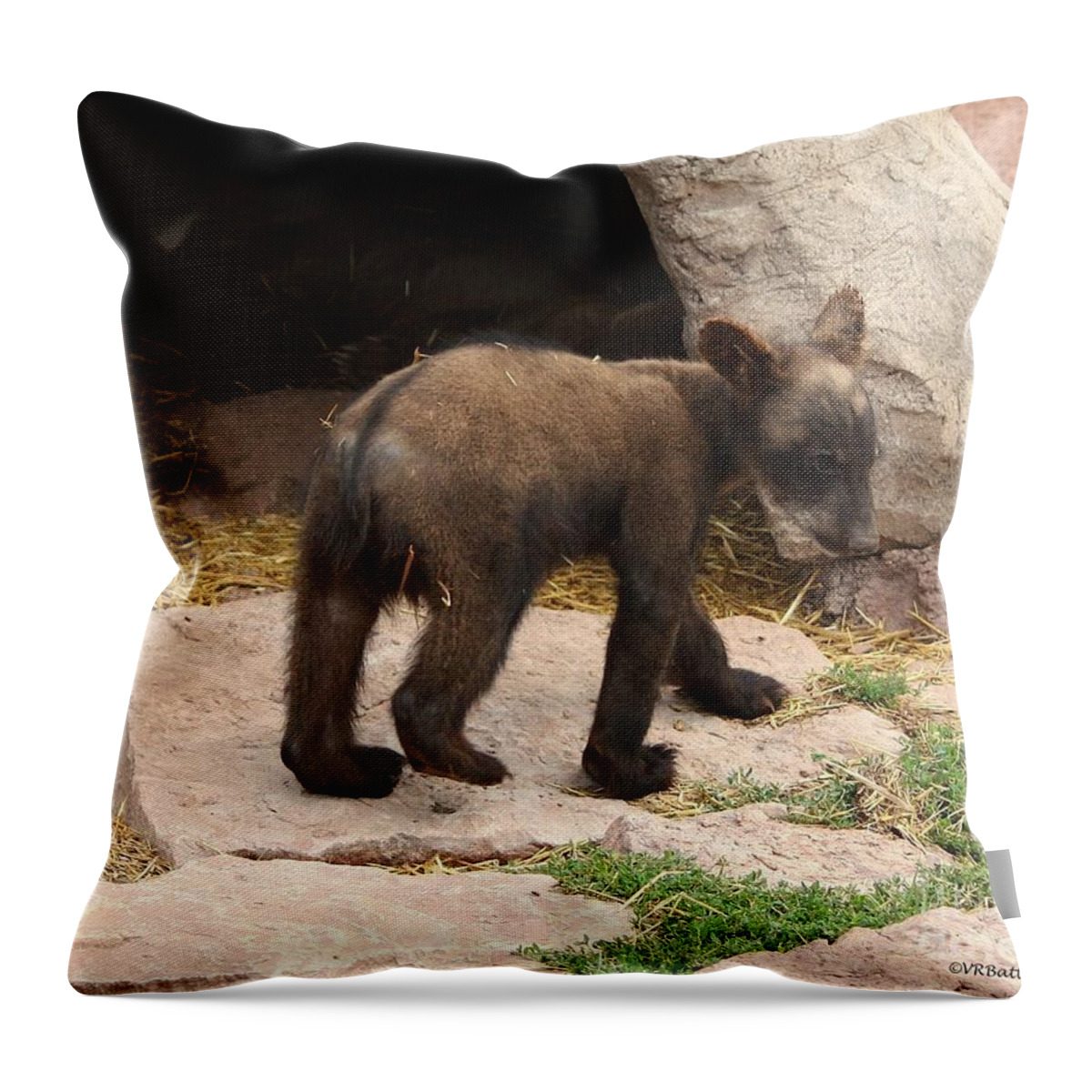 Bear Throw Pillow featuring the photograph Baby by Veronica Batterson
