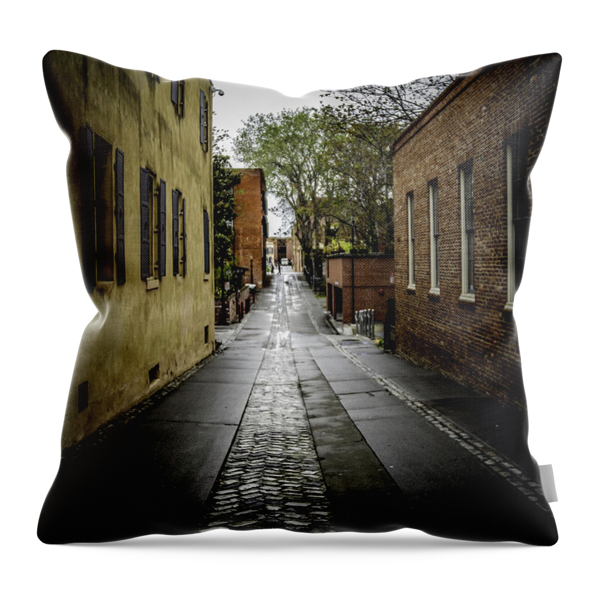 Back Alley Throw Pillow featuring the photograph Back Alley by Mitch Shindelbower