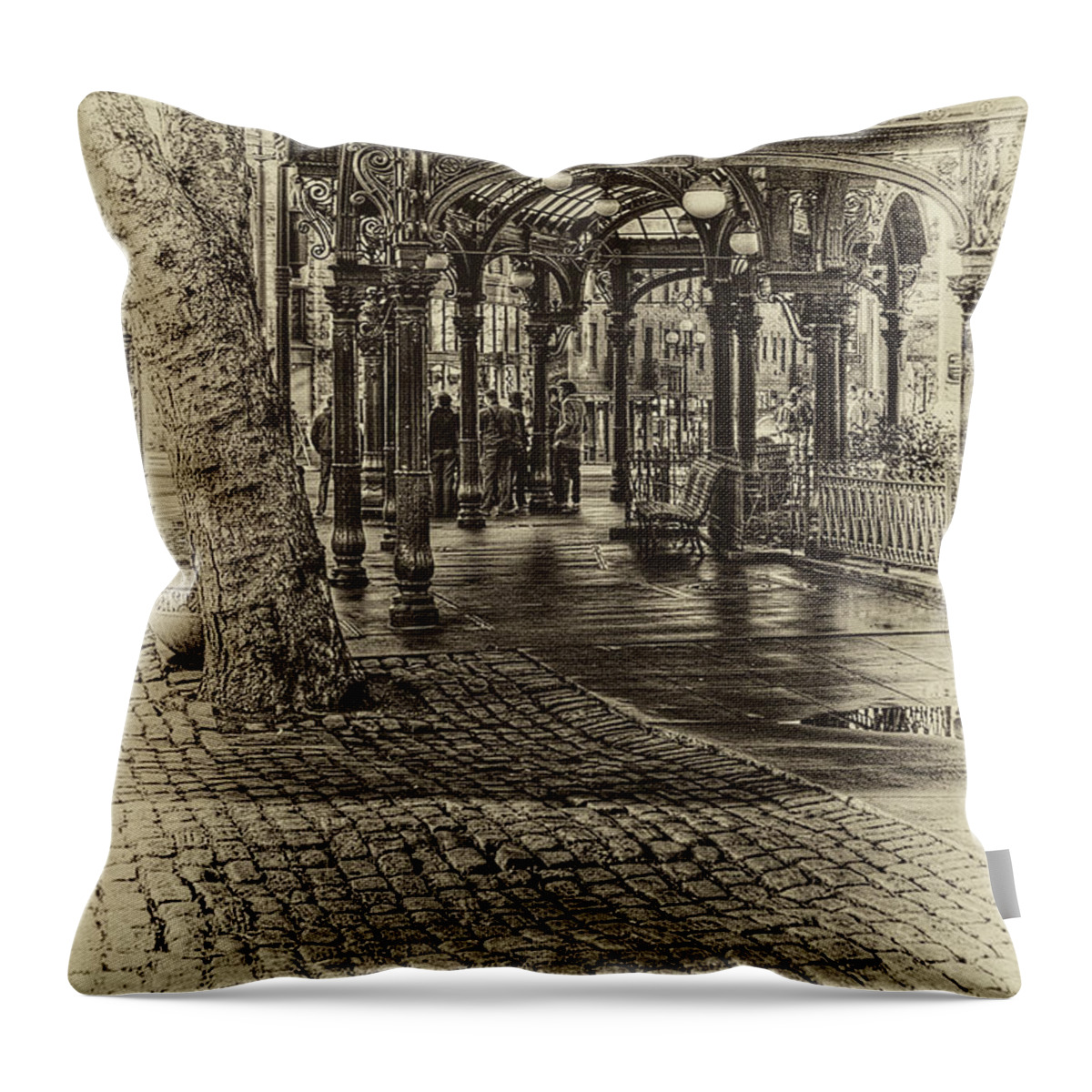The Pergola Throw Pillow featuring the photograph Back in Time by David Patterson