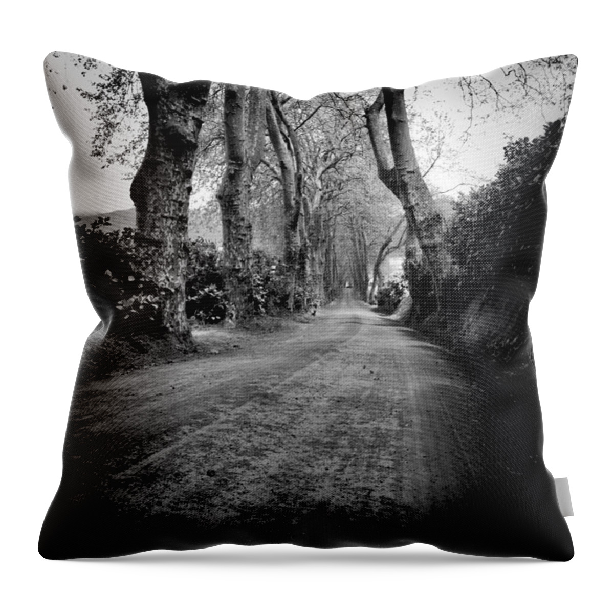 Acores Throw Pillow featuring the photograph Back Road East by Joseph Amaral
