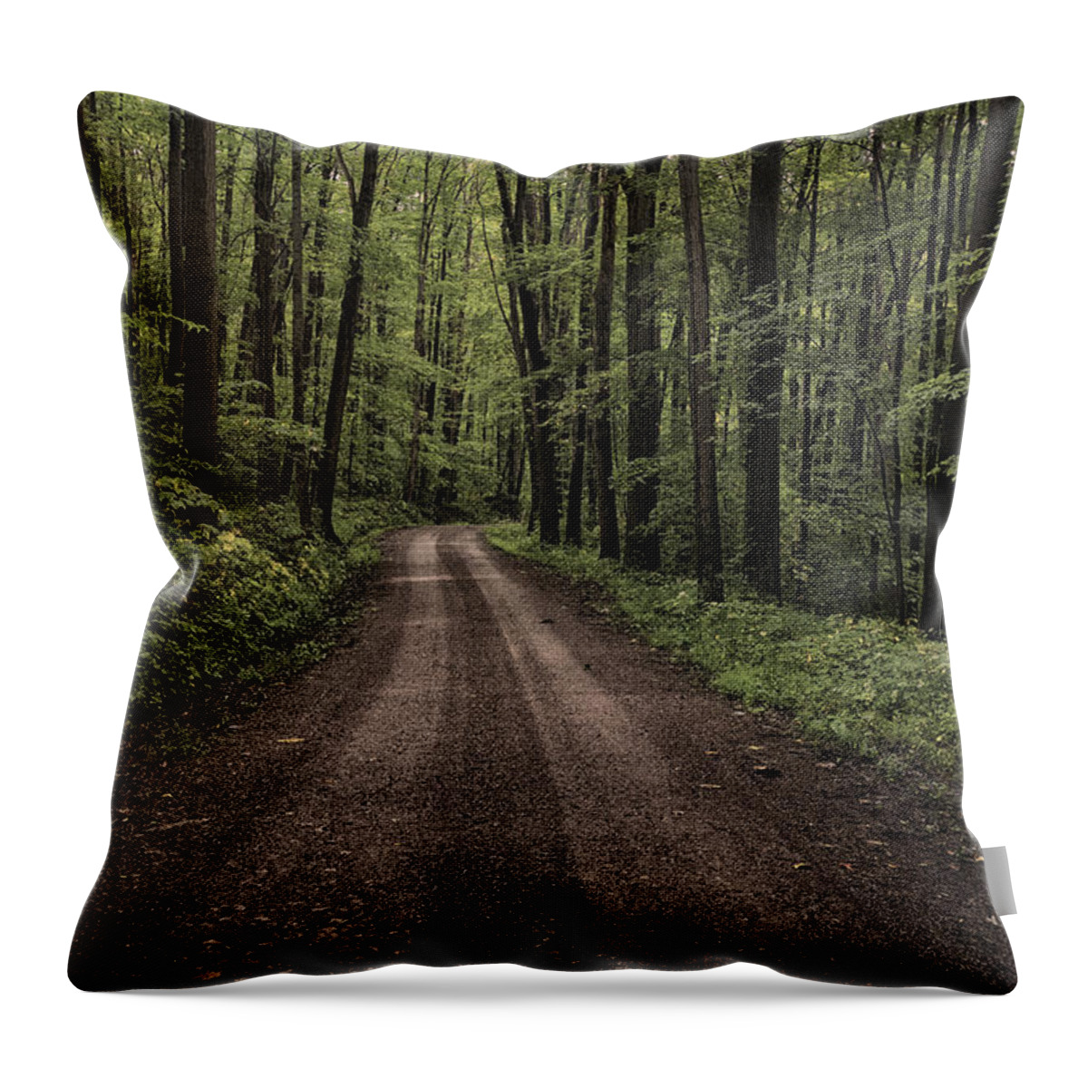 Pennsylvania Throw Pillow featuring the photograph Back Road by Robert Fawcett