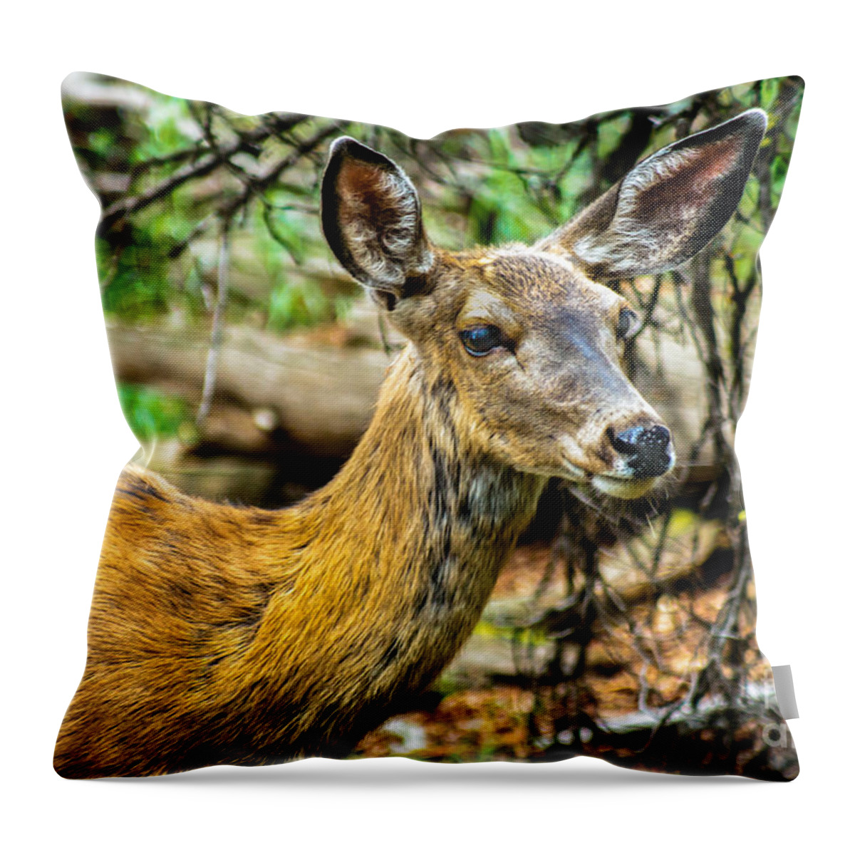 Blacked-tail Throw Pillow featuring the photograph Back-tail Doe by Robert Bales