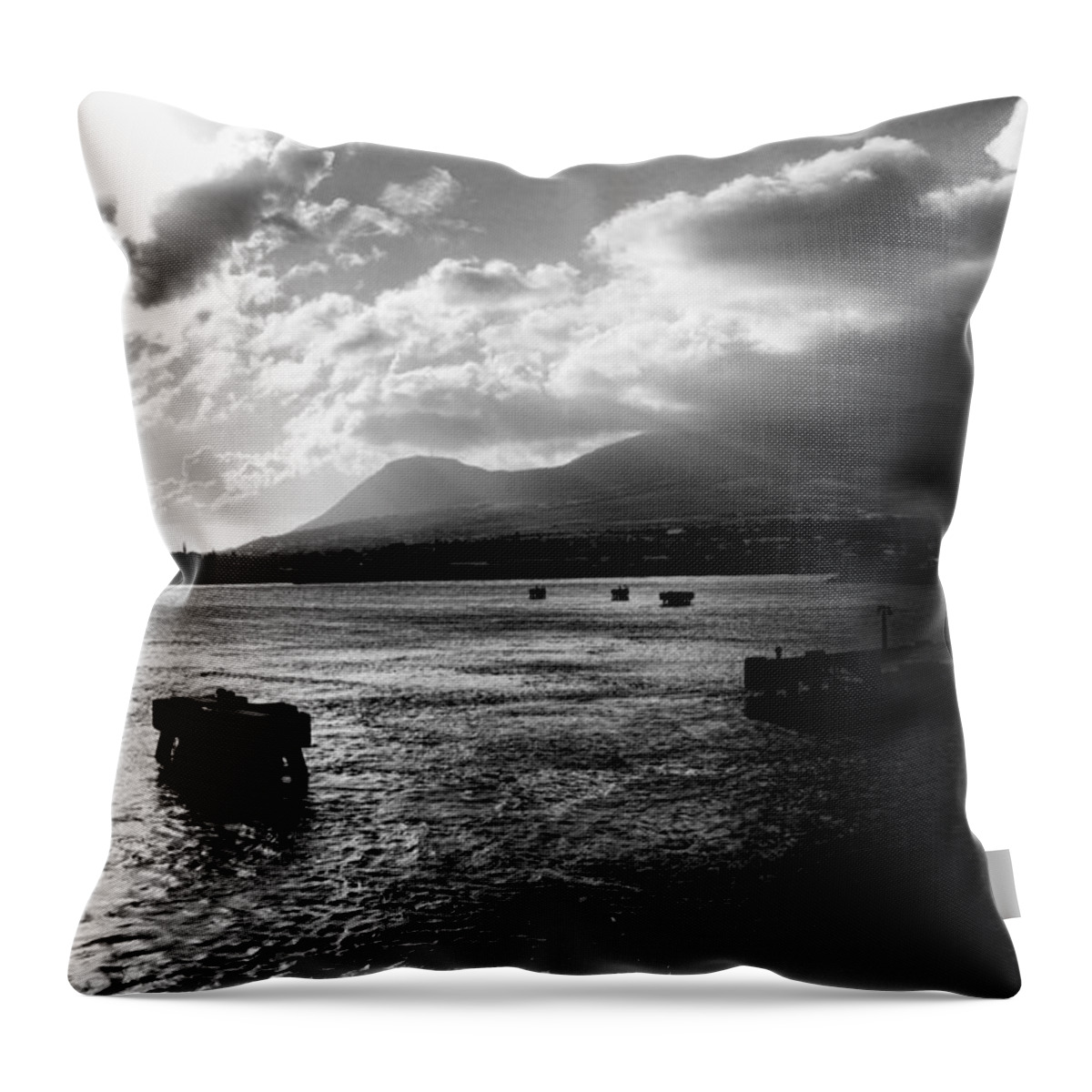 Landscape Throw Pillow featuring the photograph Back to Sea by Paul Watkins