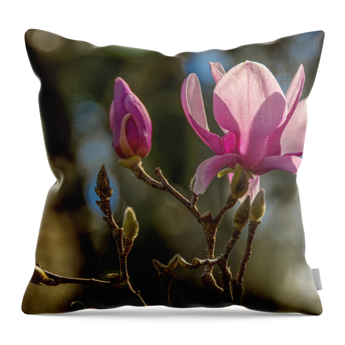 Backlit Throw Pillow featuring the photograph Background Magic by Penny Lisowski