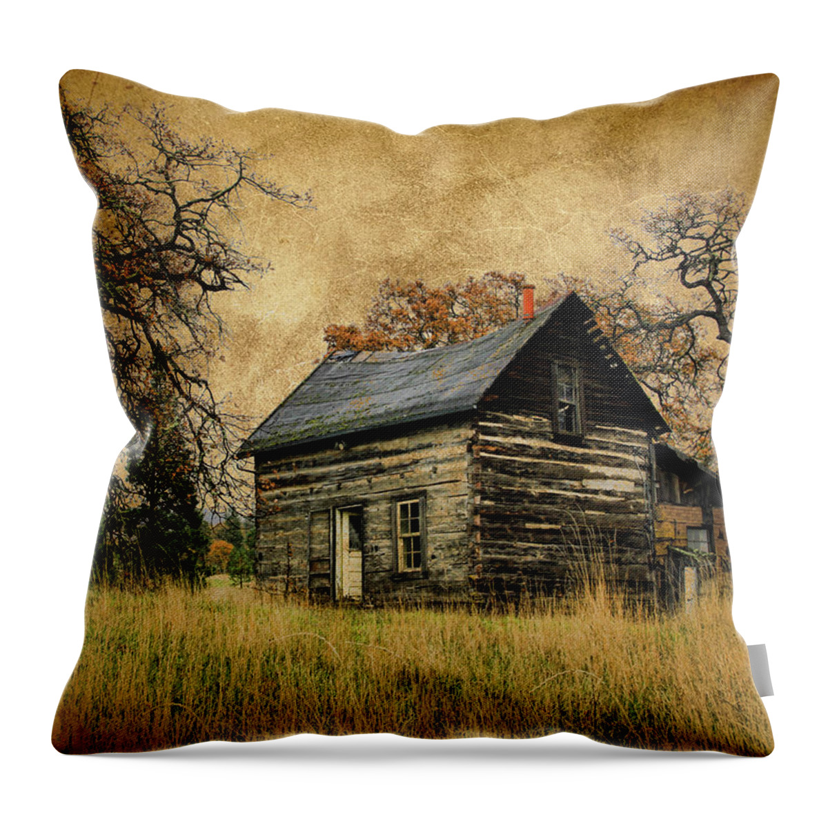 Cabin Throw Pillow featuring the photograph Backwoods Cabin by Steve McKinzie