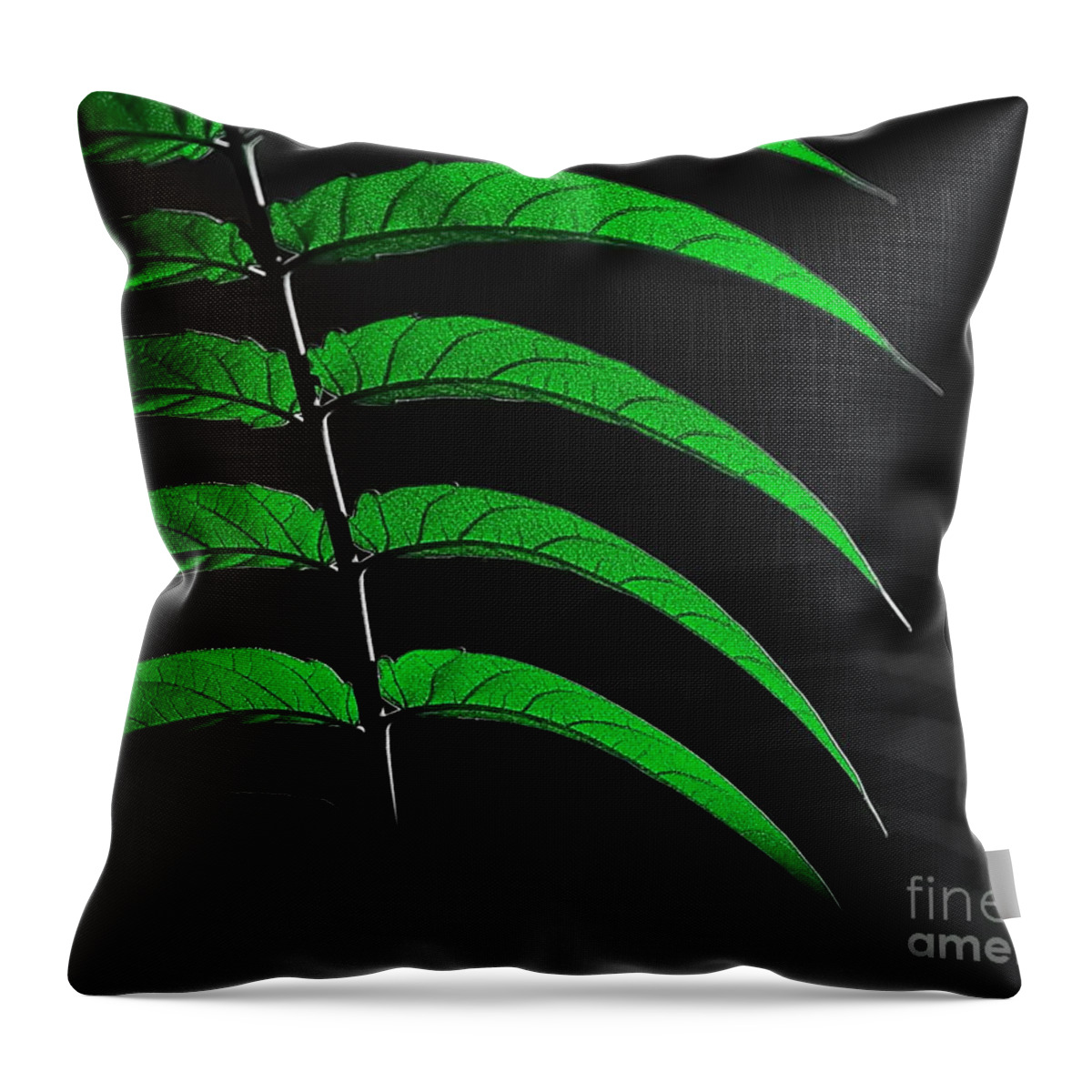 Digital Color Photo Throw Pillow featuring the digital art Backyard Abstract by Tim Richards