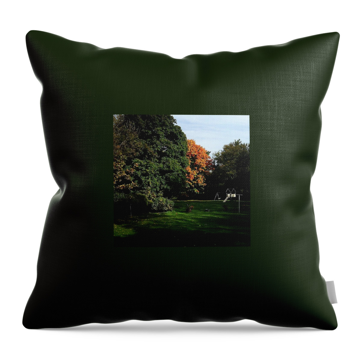 Autumn Throw Pillow featuring the photograph Mornings in the Fall by Frank J Casella