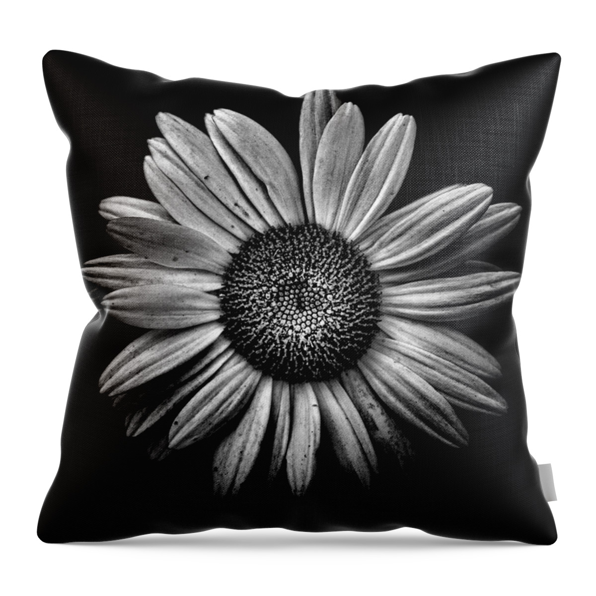 Abstract Throw Pillow featuring the photograph Backyard Flowers In Black And White 13 by Brian Carson