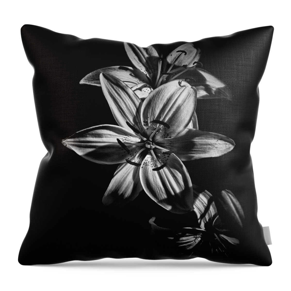 Abstract Throw Pillow featuring the photograph Backyard Flowers In Black And White 9 by Brian Carson