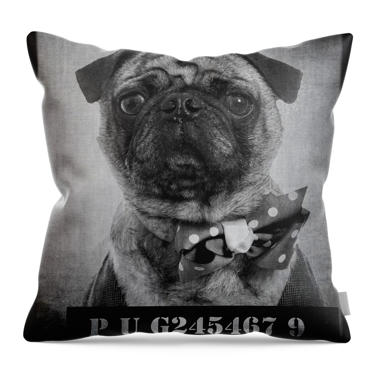 Bad Throw Pillow featuring the photograph Bad Dog by Edward Fielding