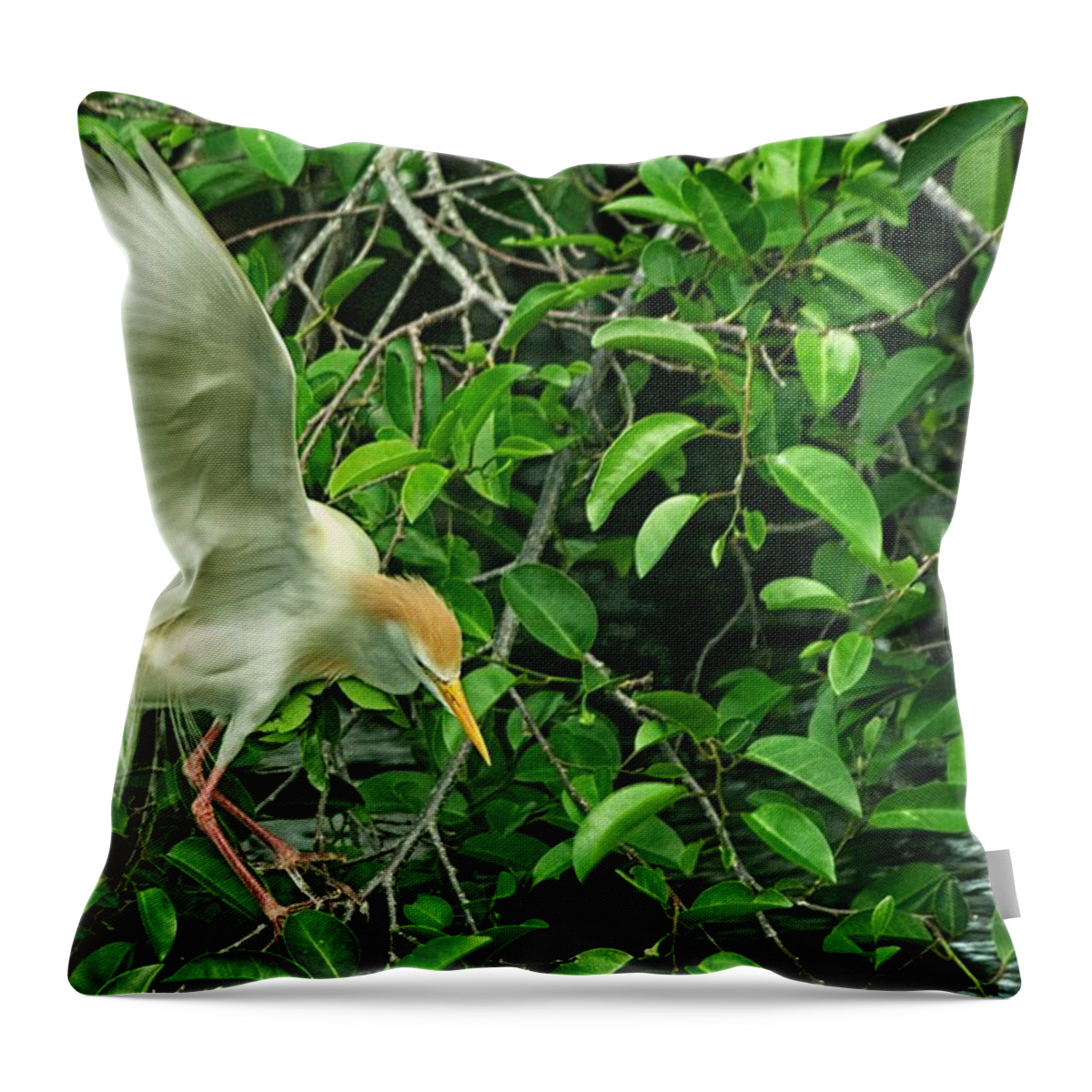 Snowy Egret Throw Pillow featuring the photograph Balancing act by Dennis Baswell