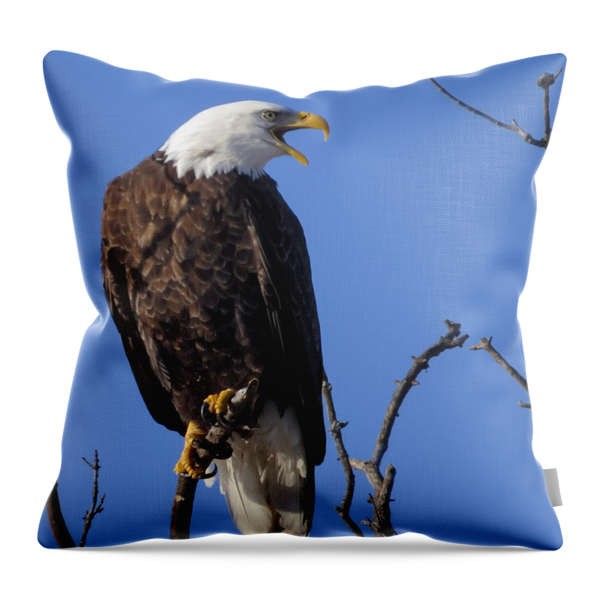 Adult Throw Pillow featuring the photograph Bald Eagle Calling by Deb Fedeler