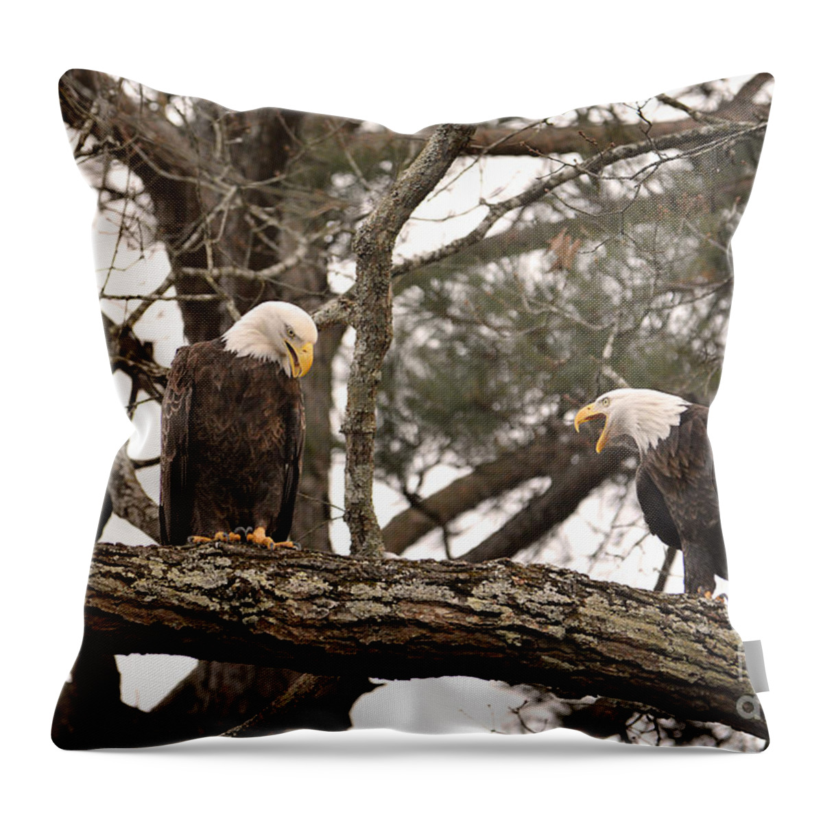 Adult Bald Eagles Throw Pillow featuring the photograph Bald Eagle Courtship by Jai Johnson