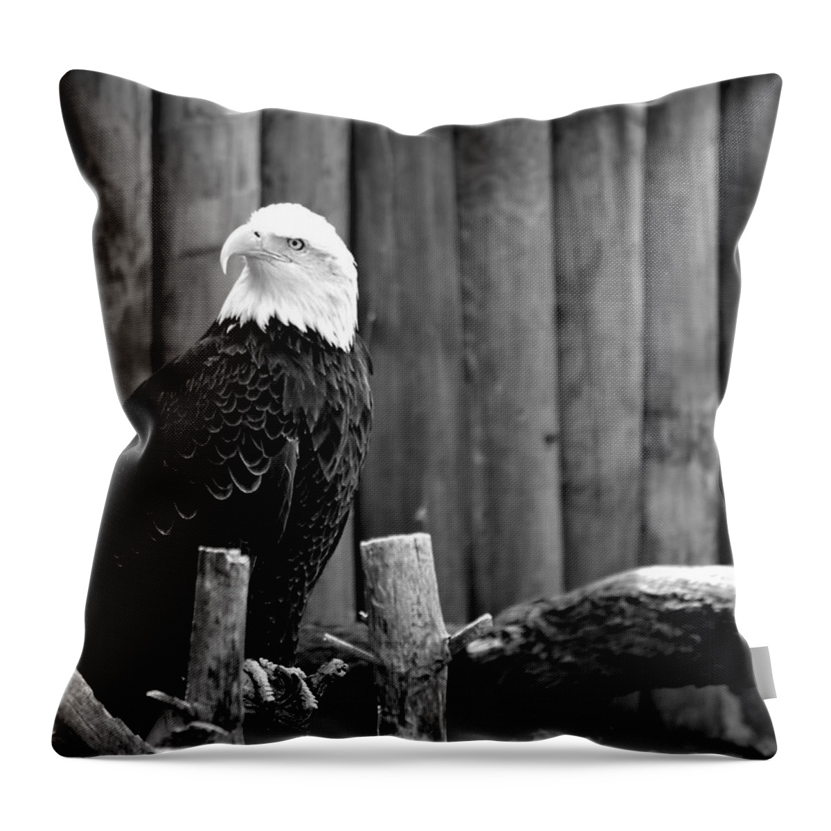 Eagle Throw Pillow featuring the photograph Bald Eagle by Deena Stoddard