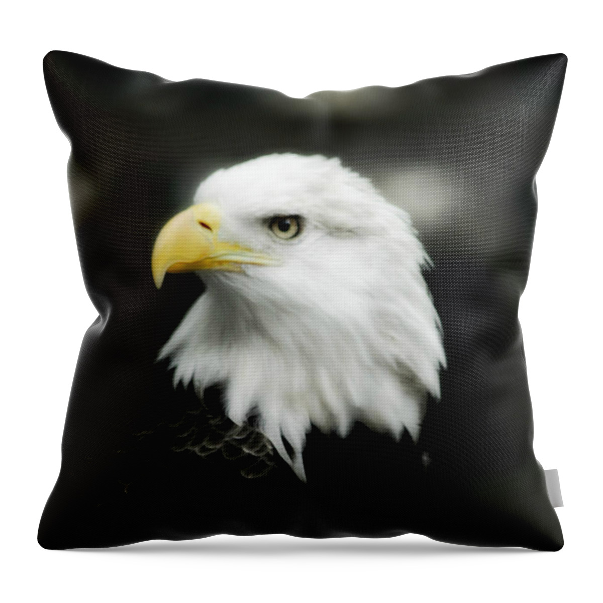 Bald Eagle Throw Pillow featuring the photograph Bald Eagle by Peggy Franz
