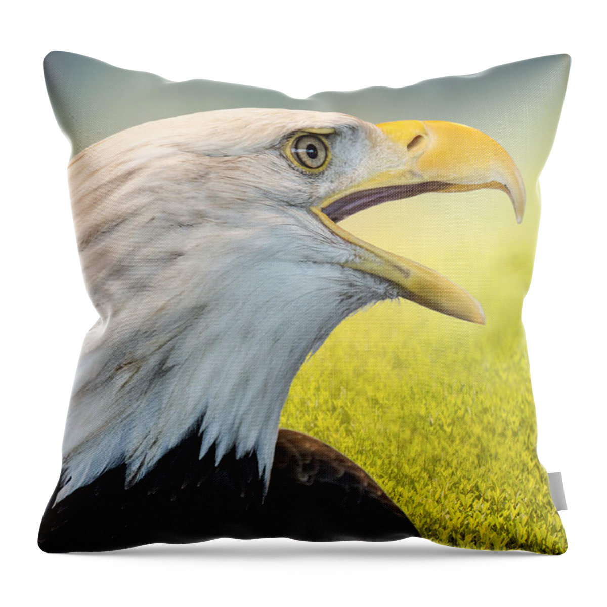 Eagle Throw Pillow featuring the photograph Baldy In The Meadow by Bill and Linda Tiepelman