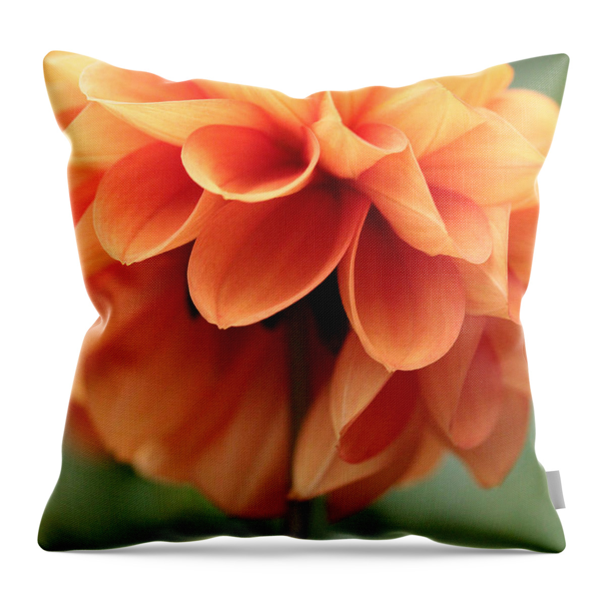 Dahlia Throw Pillow featuring the photograph Ballerina by Connie Handscomb