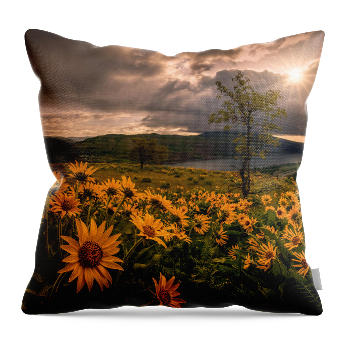 Rowena Crest Throw Pillow featuring the photograph Balsamroot Heaven by Dan Mihai