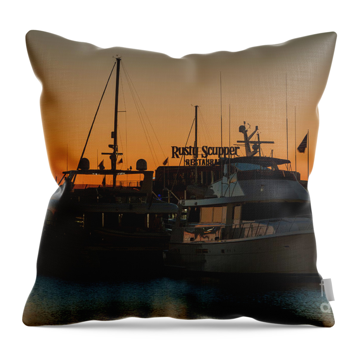 Clarence Holmes Throw Pillow featuring the photograph Baltimore Inner Harbor Marina at Dawn I by Clarence Holmes