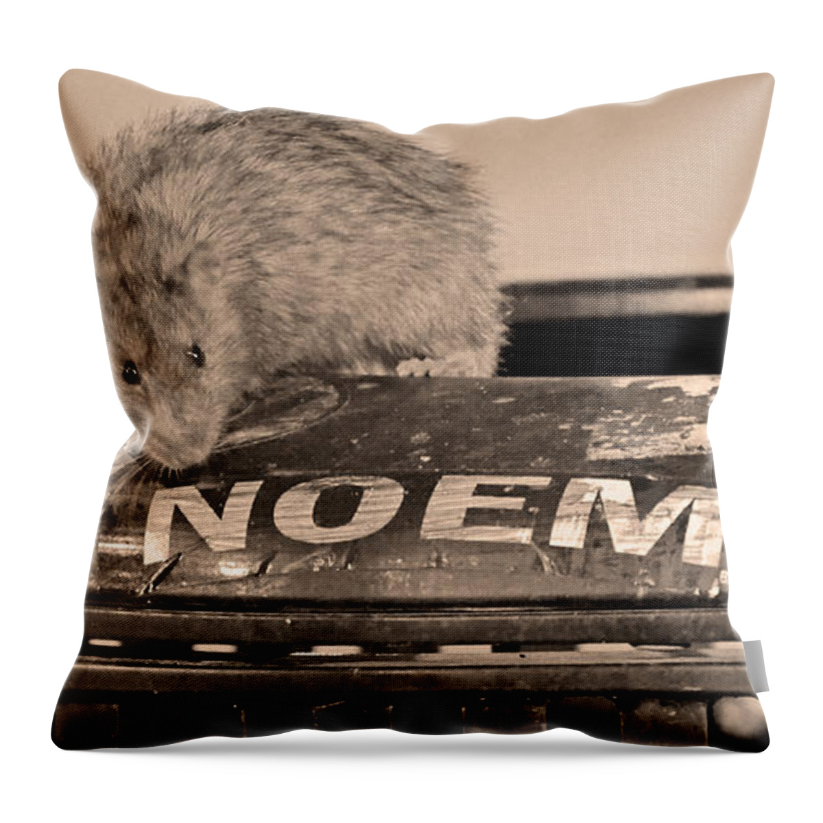 Rat Throw Pillow featuring the photograph Baltimore Rat by La Dolce Vita