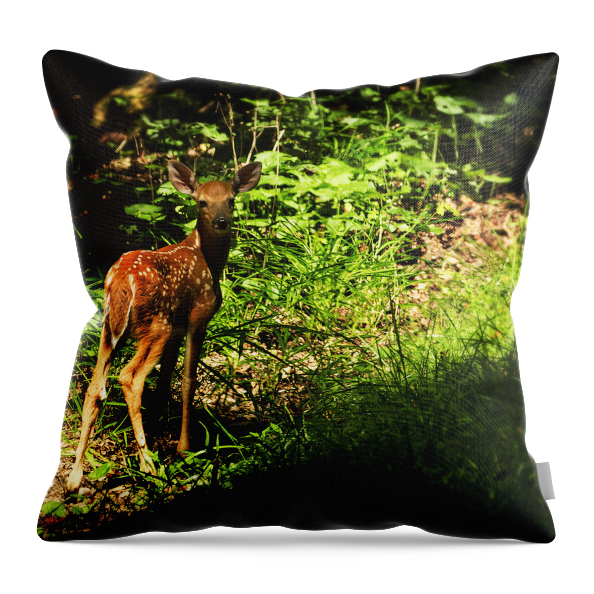 Deer Throw Pillow featuring the photograph Bambi by Melissa Petrey