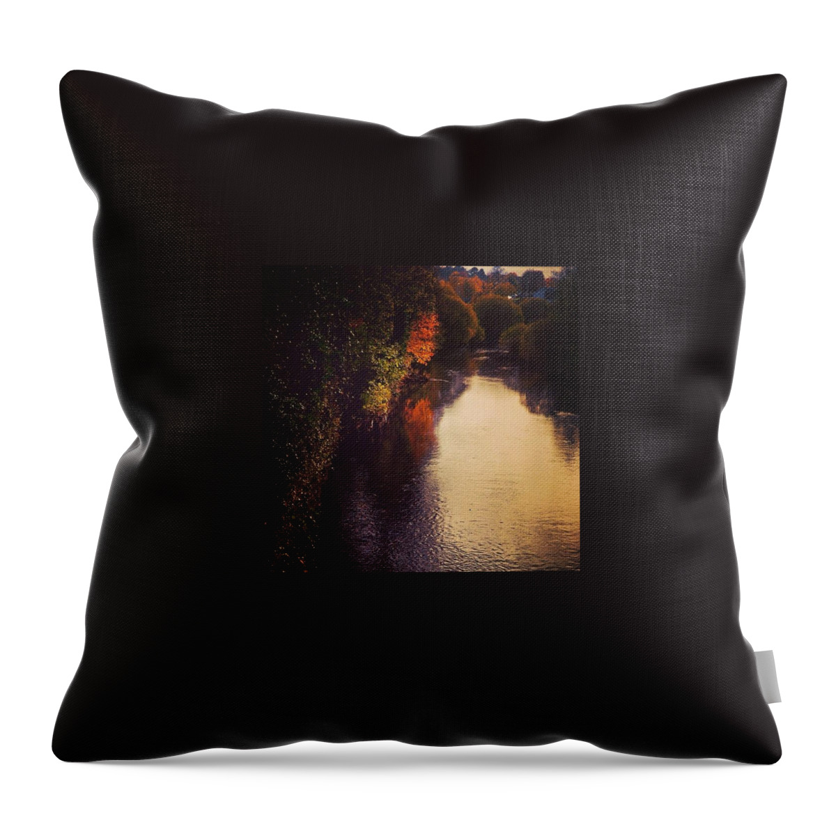 Autumn Throw Pillow featuring the photograph Banbridge, Northern Ireland by Aleck Cartwright