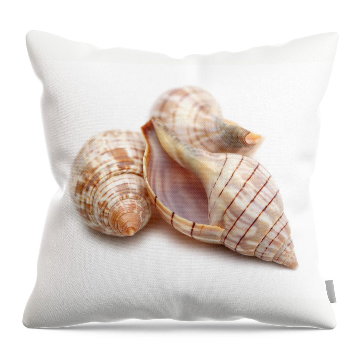 Banded Tulip Shell Throw Pillow featuring the photograph Banded Tulip Seashells Macro by Jennie Marie Schell