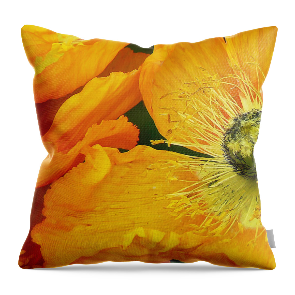 Pamela Patch Throw Pillow featuring the photograph Banking on Sunshine Poppies by Pamela Patch