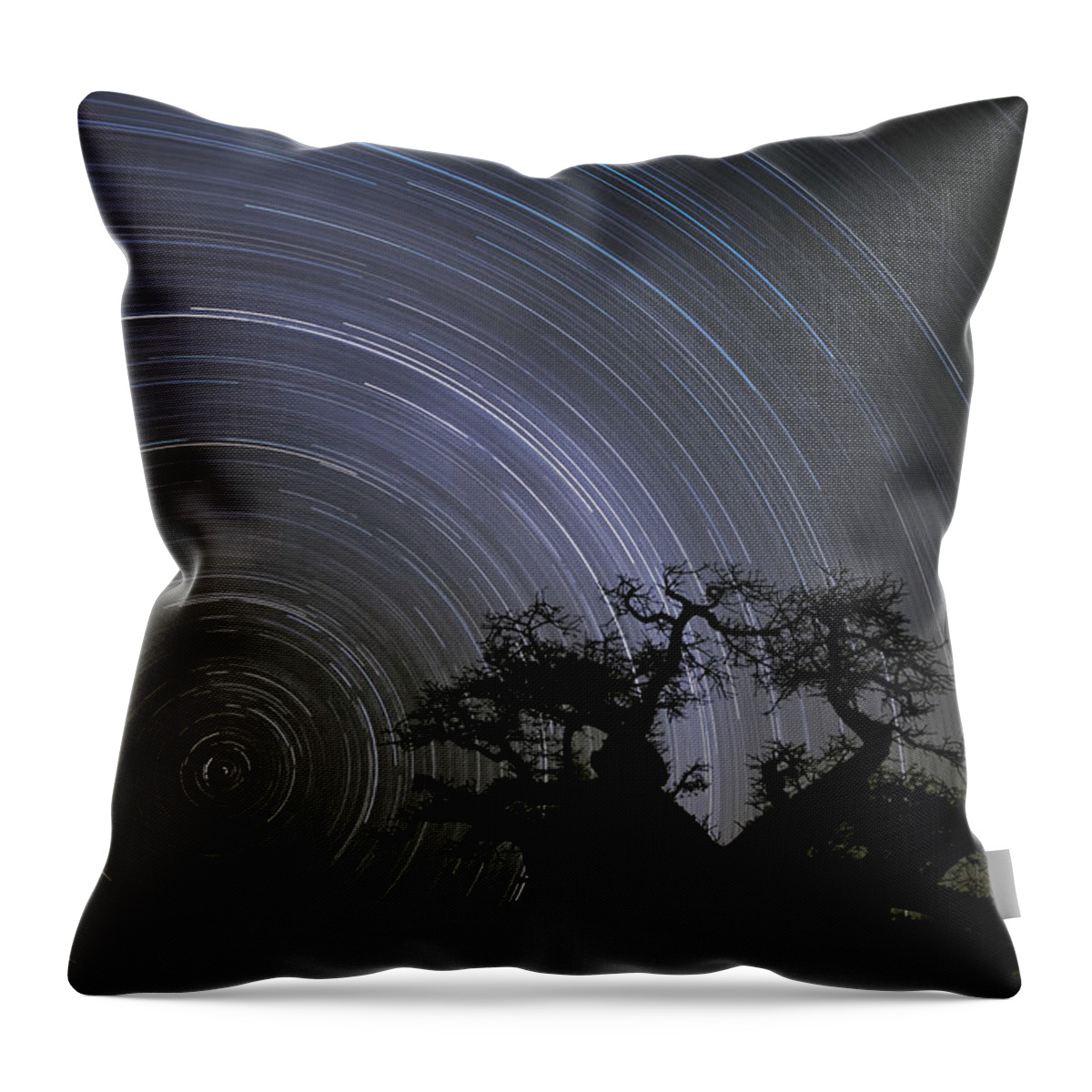 Vincent Grafhorst Throw Pillow featuring the photograph Baobab And Star Trails Botswana by Vincent Grafhorst
