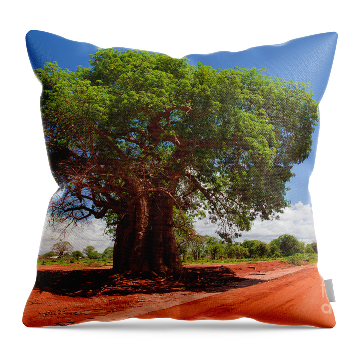 Kenya Throw Pillow featuring the photograph Baobab tree on red soil road by Michal Bednarek