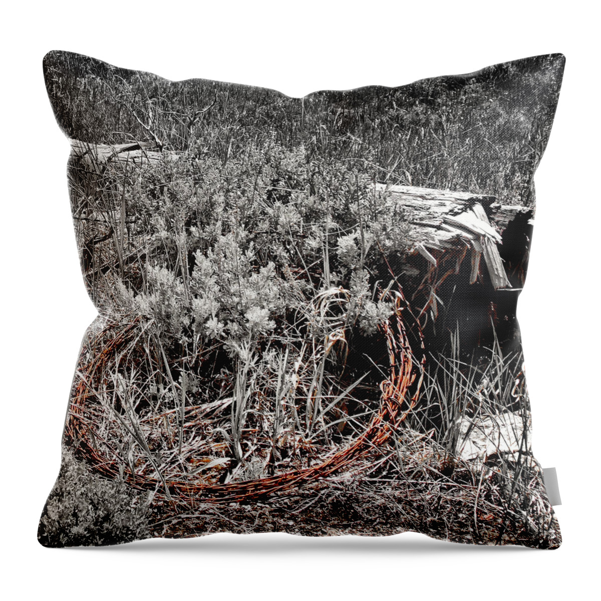 Barbwire Throw Pillow featuring the photograph Barbwire Wreath 1 by Susan Kinney