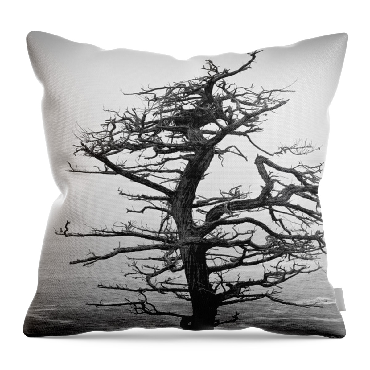 Moody Throw Pillow featuring the photograph Bare Cypress by Melinda Ledsome