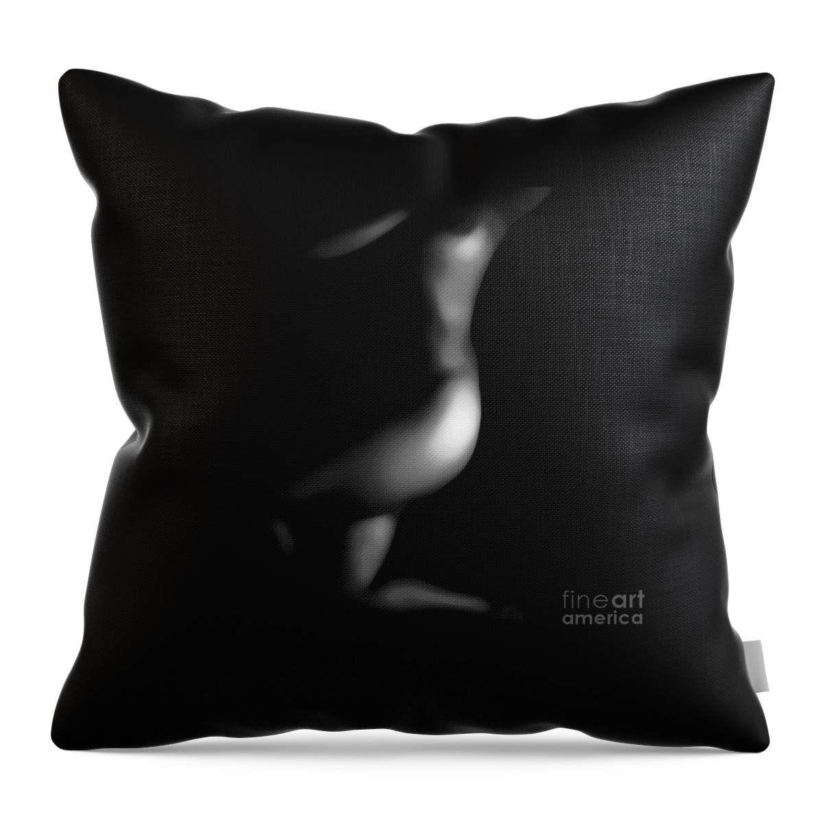 Black Throw Pillow featuring the photograph Bare by Jessica S