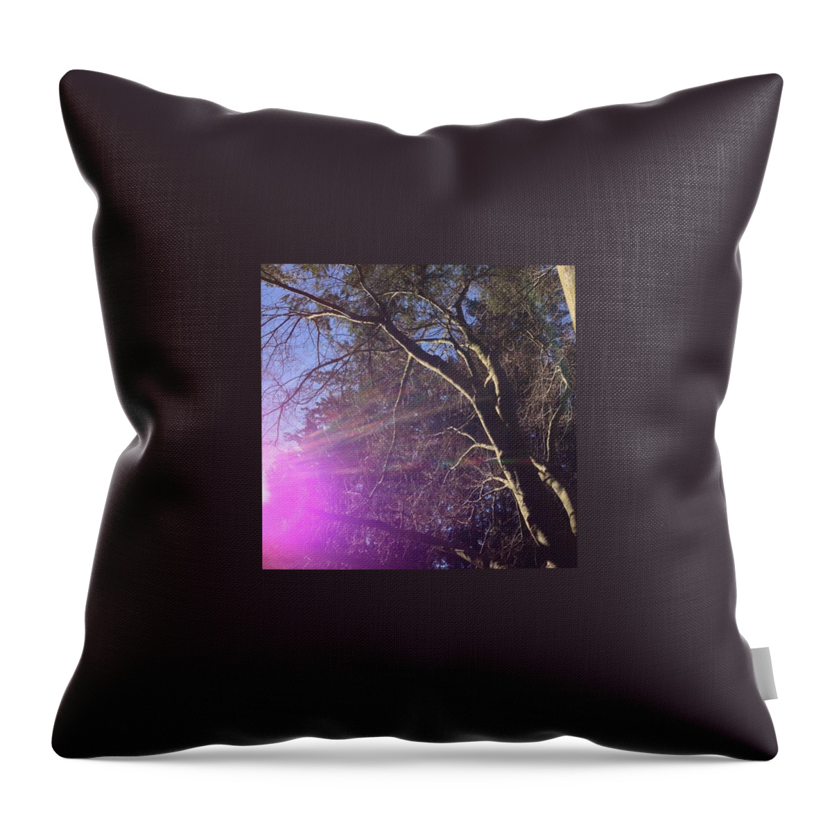 Bare Naked Branches I Throw Pillow featuring the photograph Bare Naked Branches I by Anna Porter