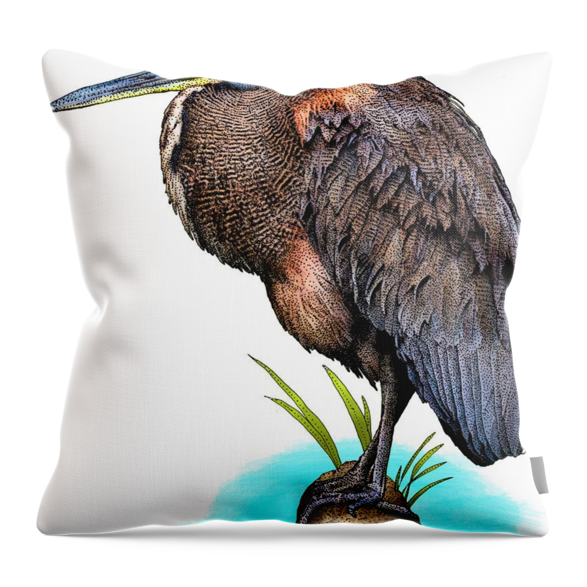 Tigrisoma Mexicanum Throw Pillow featuring the photograph Bare Throated Tiger Heron by Roger Hall
