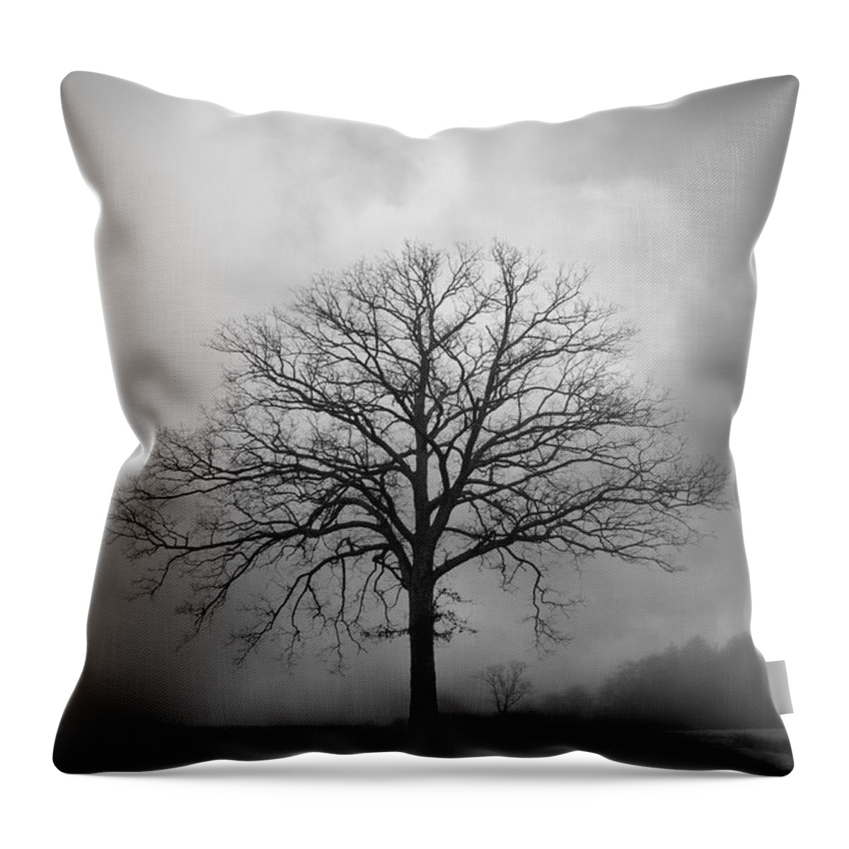 Tree Throw Pillow featuring the photograph Bare Tree And Clouds BW by David Gordon