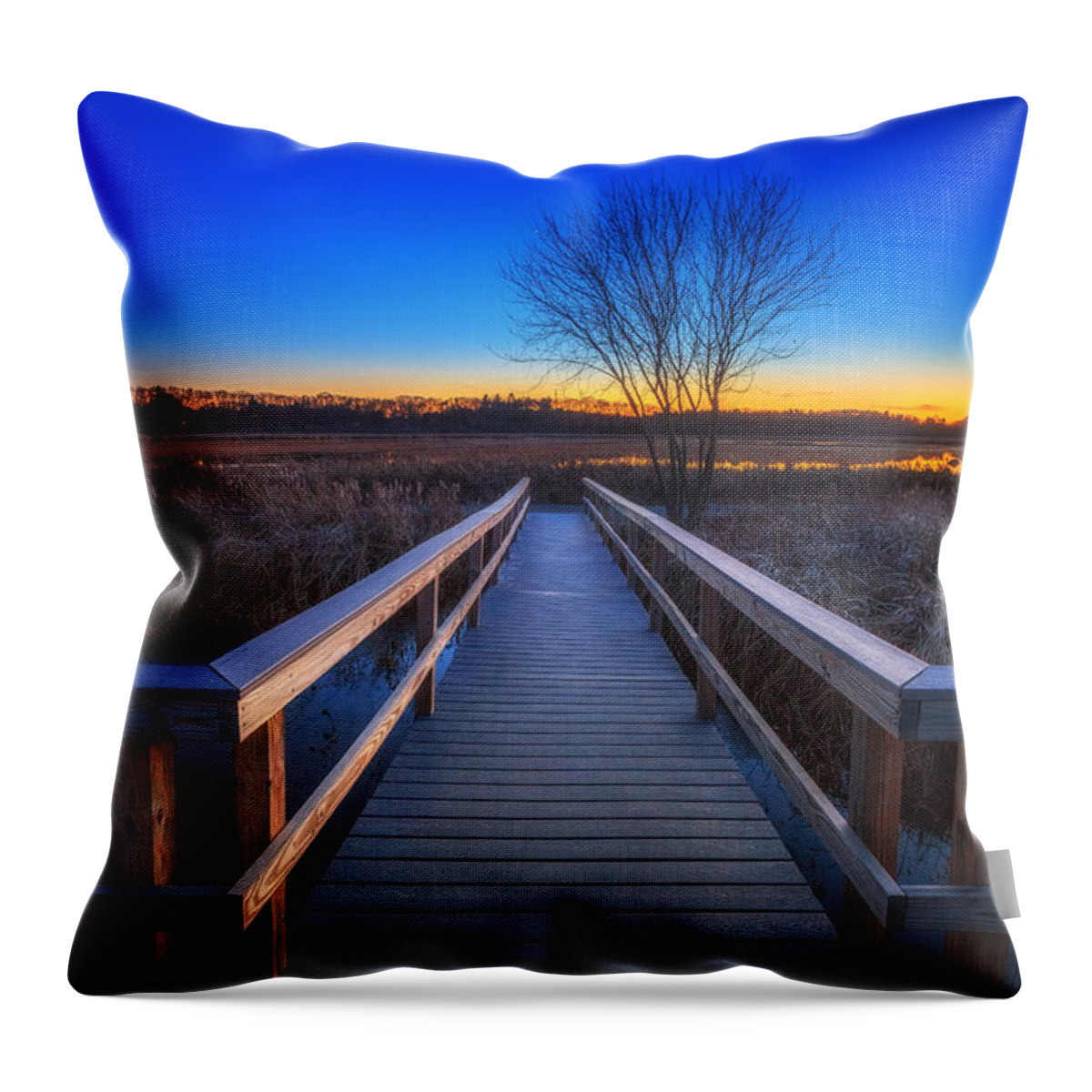 Owed To Nature Throw Pillow featuring the photograph Bare Trees from Summer Long Forgotten by Sylvia J Zarco