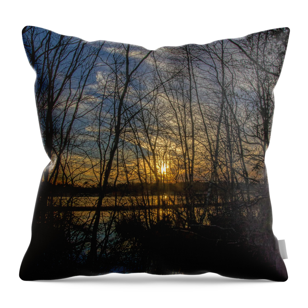 Trees Throw Pillow featuring the photograph Bare Trees Sunset by Beth Venner