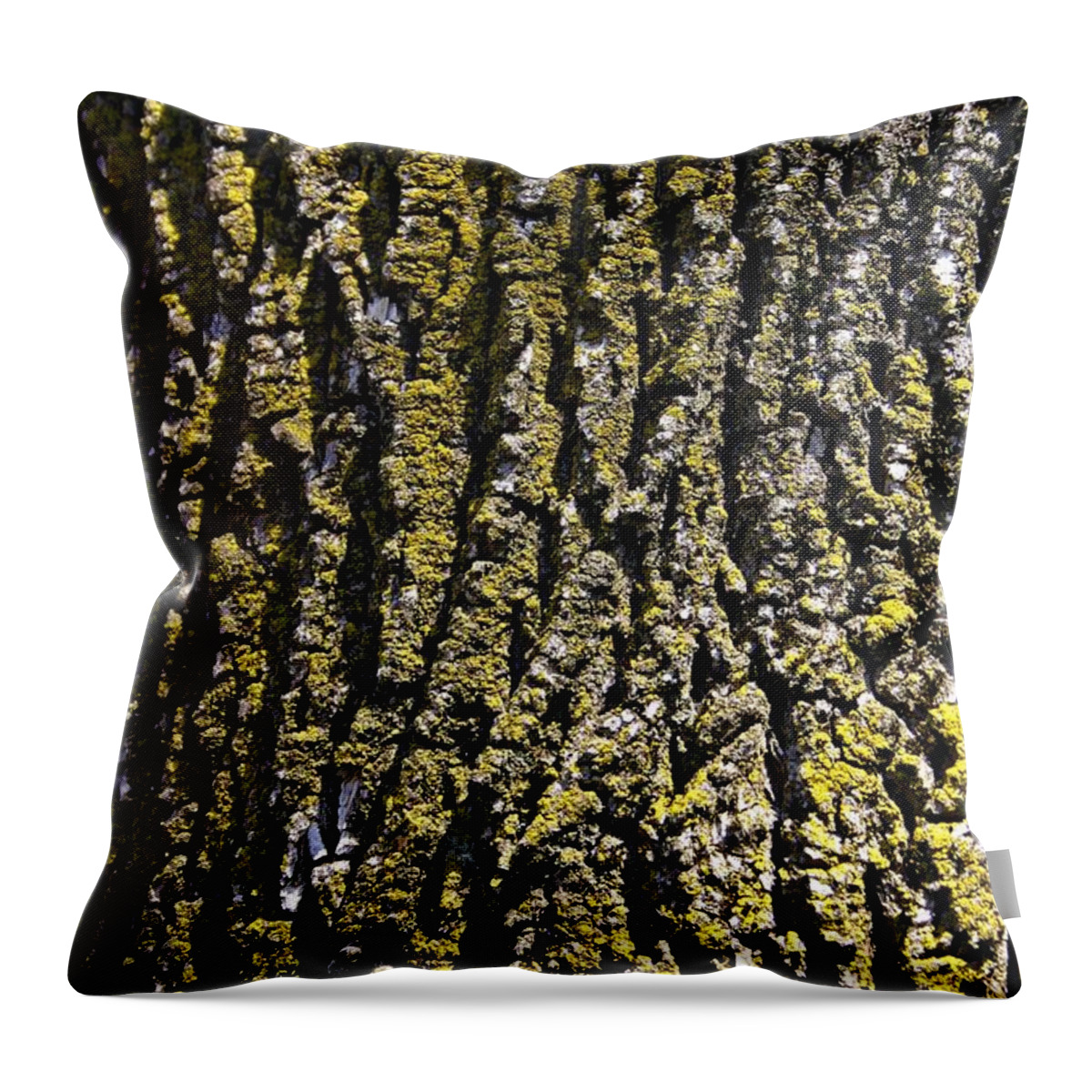 Tree Throw Pillow featuring the photograph Bark 2 by Henry Kowalski