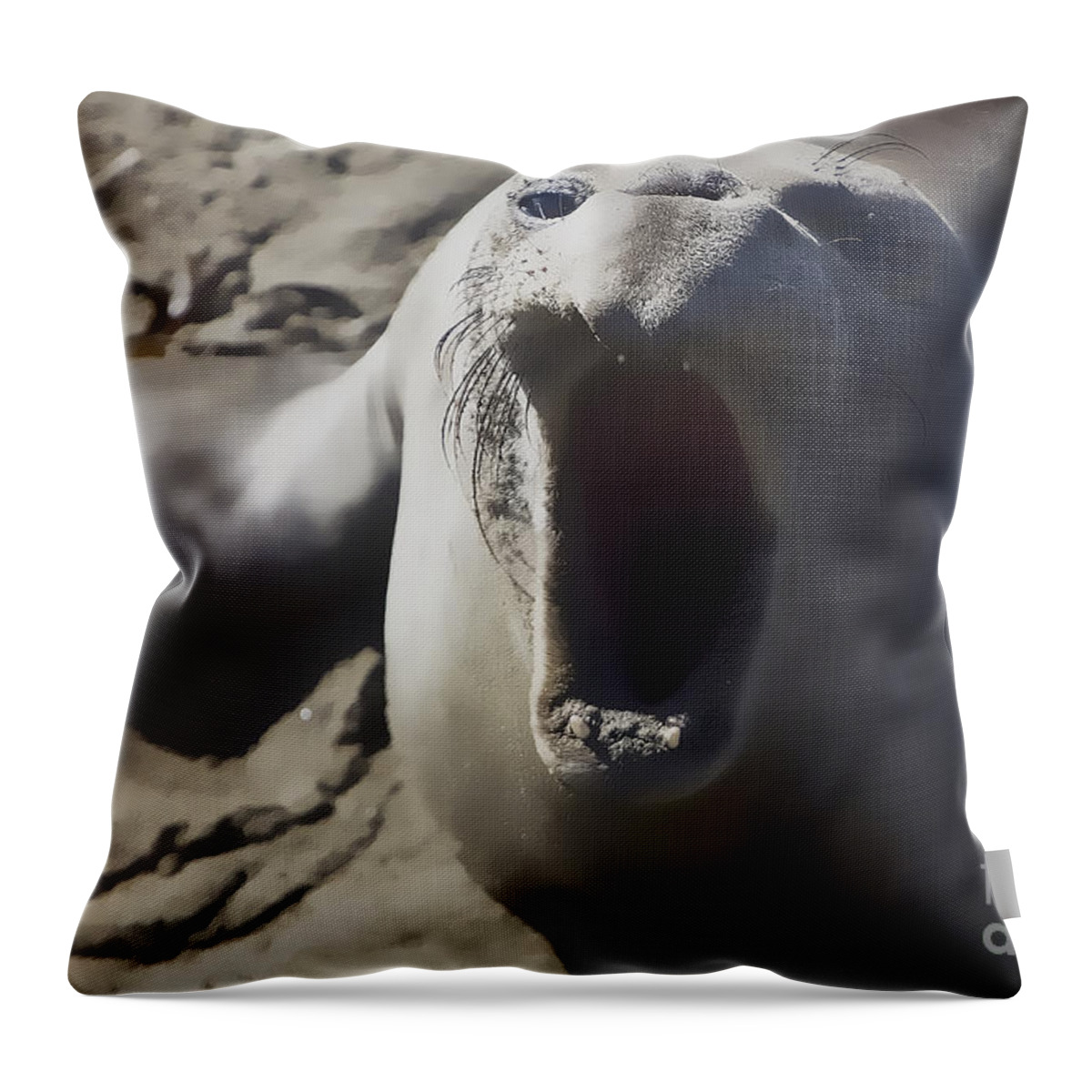Wildlife Throw Pillow featuring the photograph Barking Elephant Seal by Rich Collins
